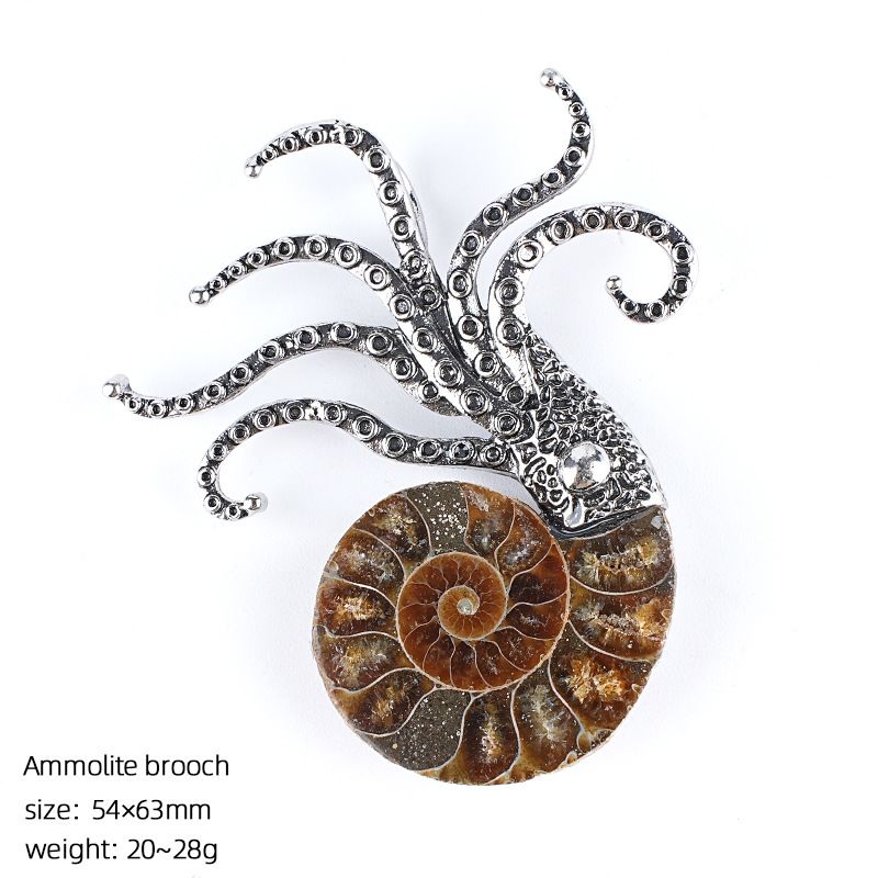 Concha natural fóssil pingente criativo novo prata bainha manchado caracol crisântemo broche colar anel jóias