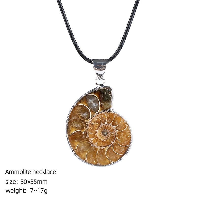 Concha natural fóssil pingente criativo novo prata bainha manchado caracol crisântemo broche colar anel jóias