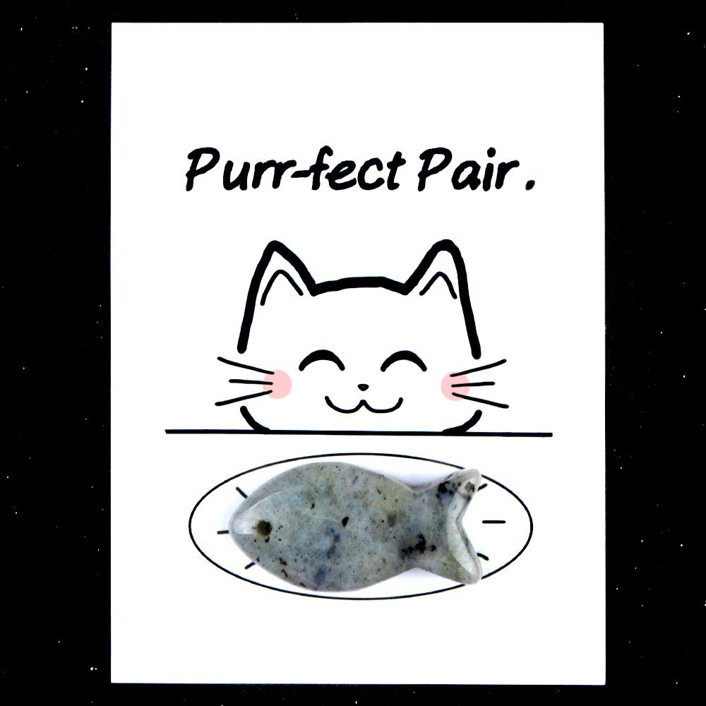 1816-Purr-fect Par Série de Cartões de Cura para Gatos e Peixes Pedra de Ágata de Cristal Natural, Creative Fun