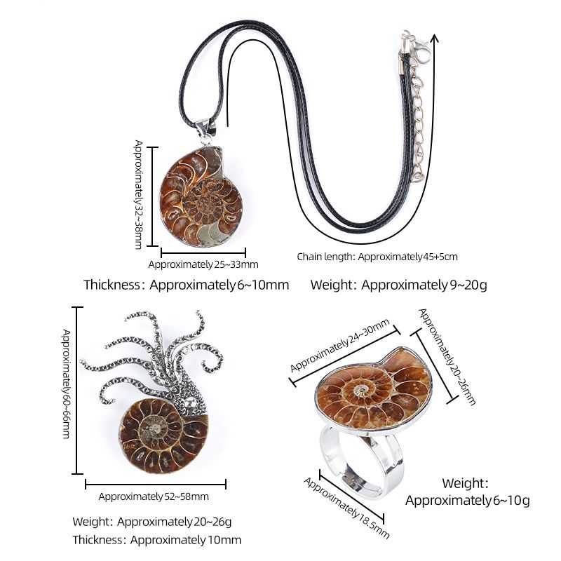 Concha natural fóssil pingente criativo novo prata bainha manchado caracol crisântemo broche colar anel jóias