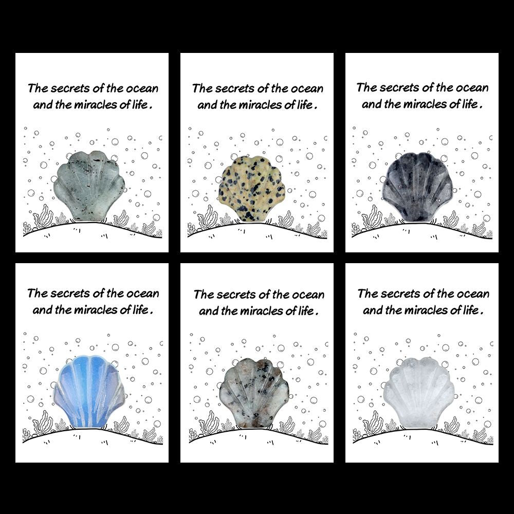 1806-Card Series 30mm Natural Crystal Agate Stone Shell Shape, Creative Fun Ocean Gem