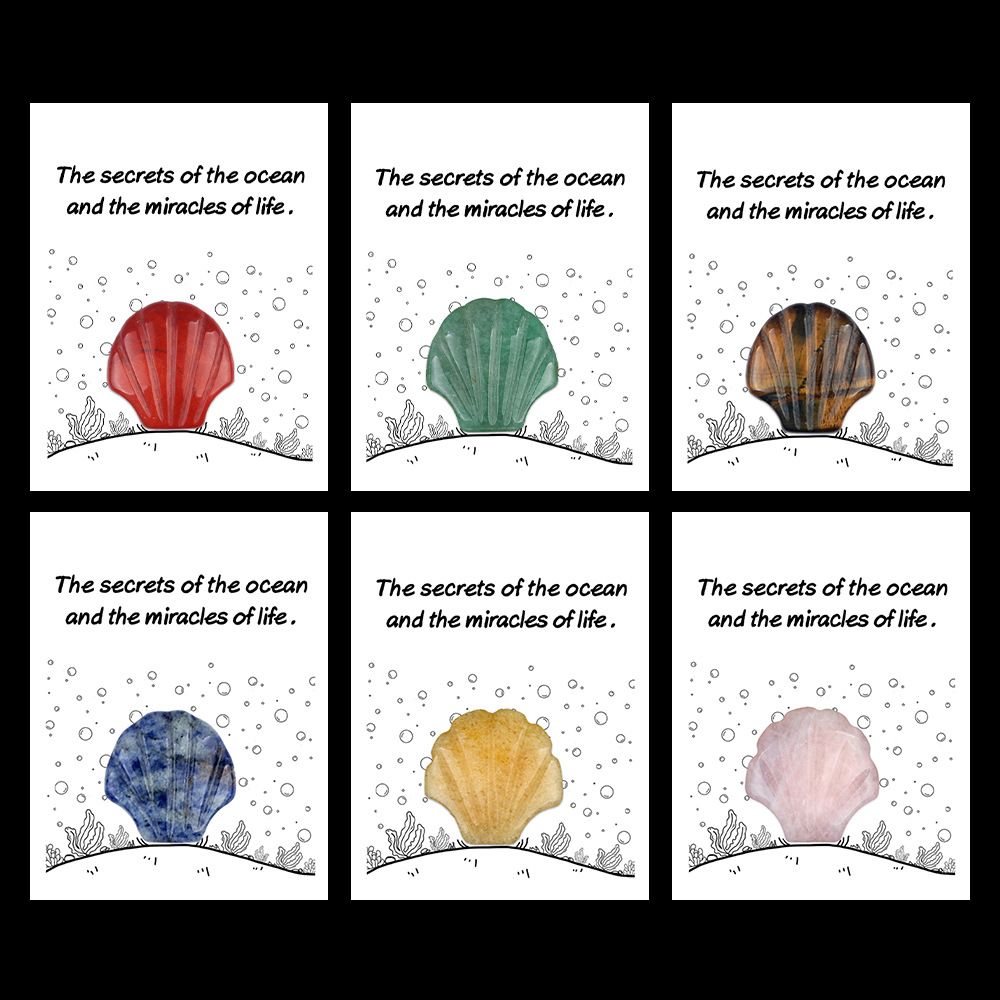 1806-Card Series 30mm Natural Crystal Agate Stone Shell Shape, Creative Fun Ocean Gem