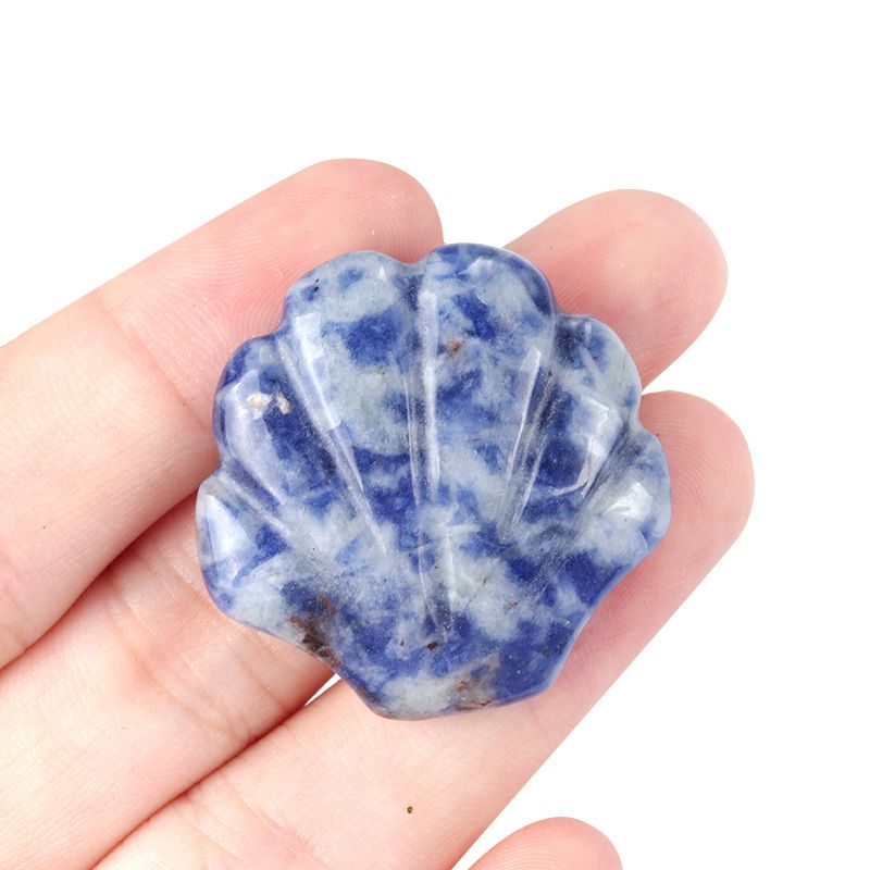 1723-30Mm concha grande não porosa, cristal natural ágata pedra vista mar micro-paisagem escultura concha ornamento DIY