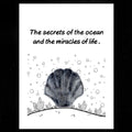 1806-Card Series 30mm Natural Crystal Agate Stone Shell Shape, Creative Fun Ocean Gem