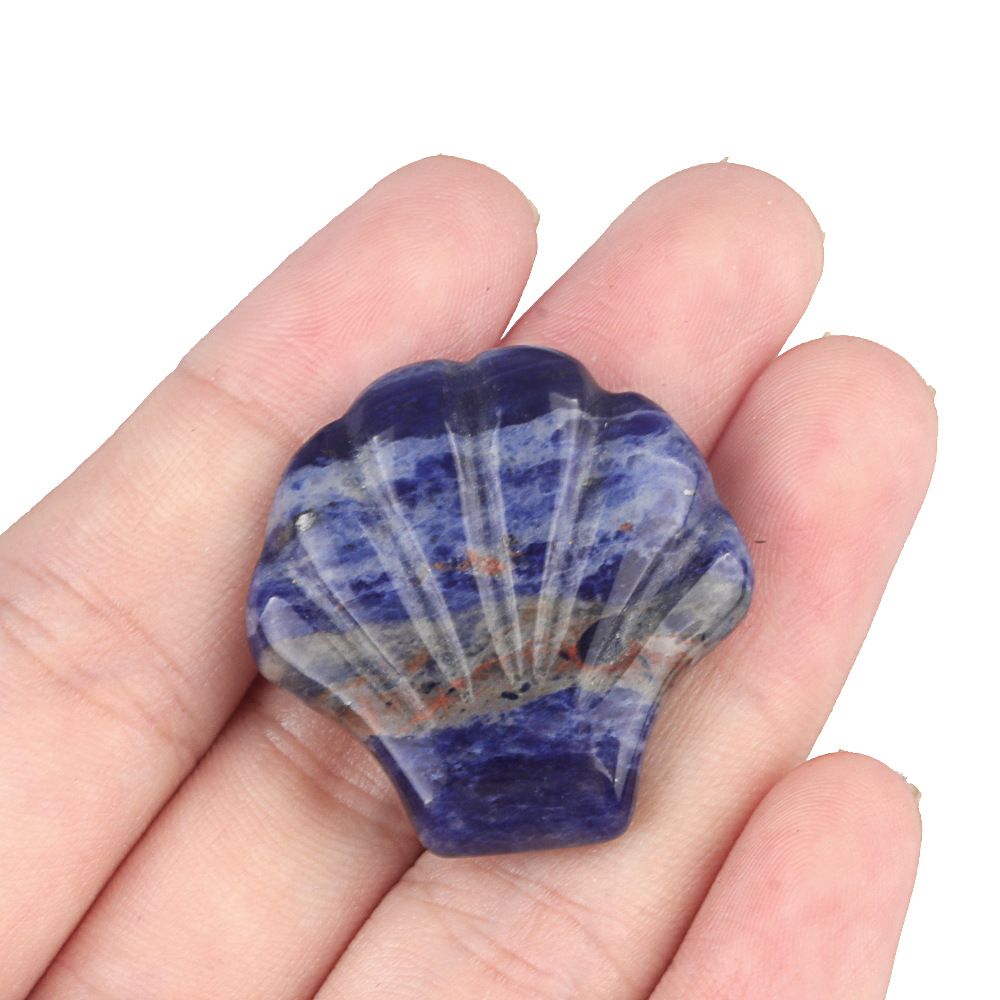 1723-30Mm concha grande não porosa, cristal natural ágata pedra vista mar micro-paisagem escultura concha ornamento DIY