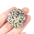 1723-30Mm concha grande não porosa, cristal natural ágata pedra vista mar micro-paisagem escultura concha ornamento DIY