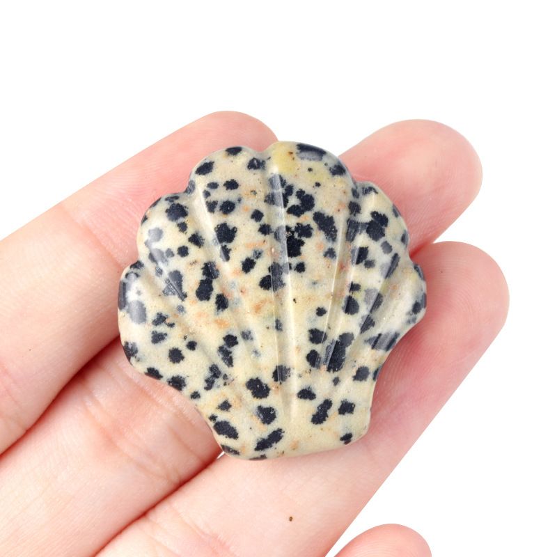 1723-30Mm concha grande não porosa, cristal natural ágata pedra vista mar micro-paisagem escultura concha ornamento DIY