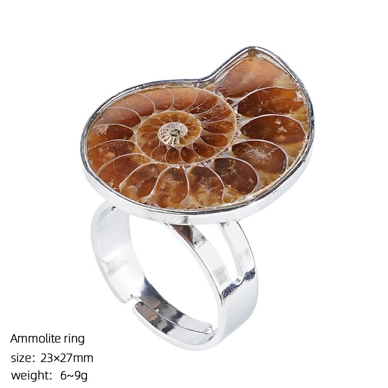 Concha natural fóssil pingente criativo novo prata bainha manchado caracol crisântemo broche colar anel jóias