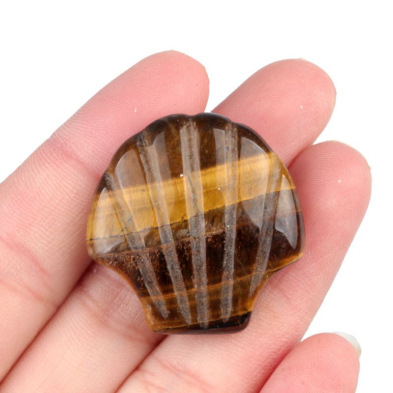 1723-30Mm concha grande não porosa, cristal natural ágata pedra vista mar micro-paisagem escultura concha ornamento DIY