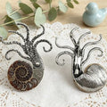 Broche de polvo de caracol de cor 1613, broche de pingente de jóias de vida marinha de polvo grande exagerado decoração de dupla finalidade
