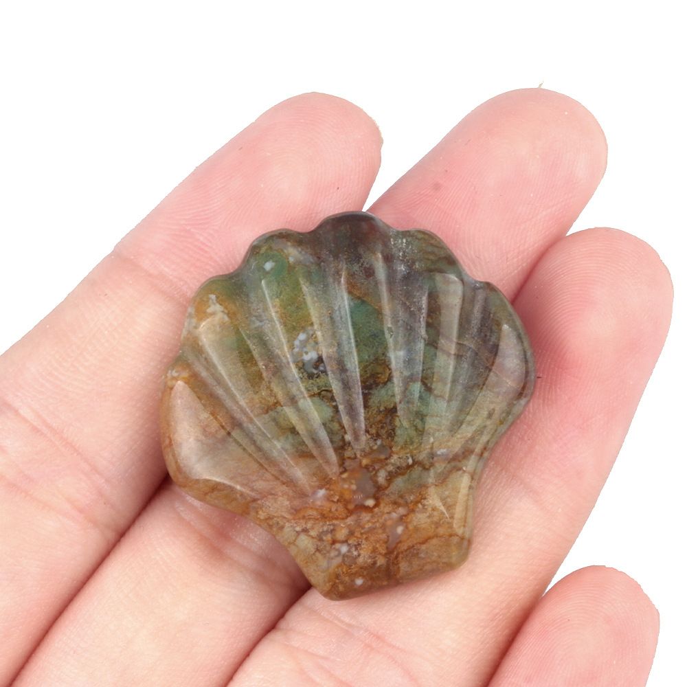 1723-30Mm concha grande não porosa, cristal natural ágata pedra vista mar micro-paisagem escultura concha ornamento DIY