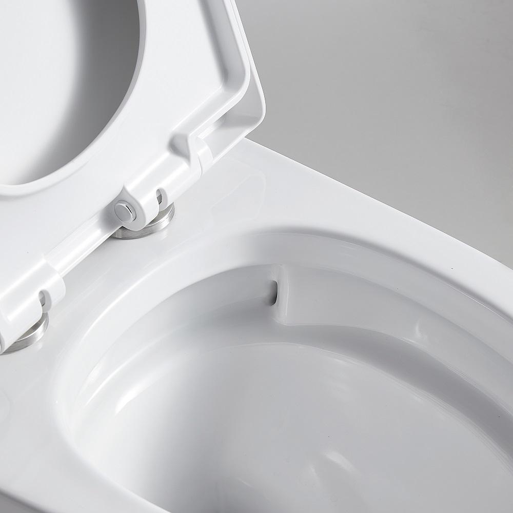 1-Piece 1.28 GPF Dual Flush High Efficiency Elongated Toilet in White, Seat Included