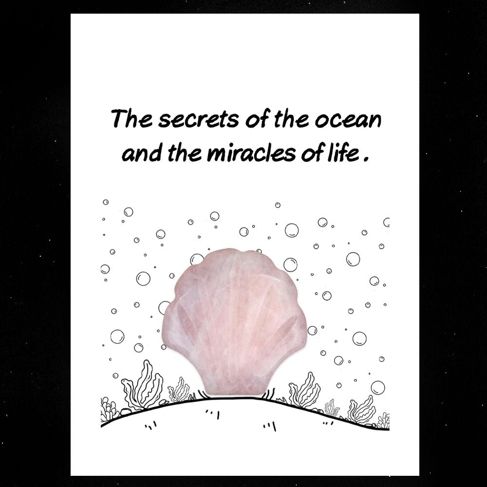 1806-Card Series 30mm Natural Crystal Agate Stone Shell Shape, Creative Fun Ocean Gem