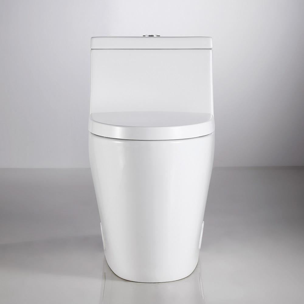 1-Piece 1.28 GPF Dual Flush High Efficiency Elongated Toilet in White, Seat Included