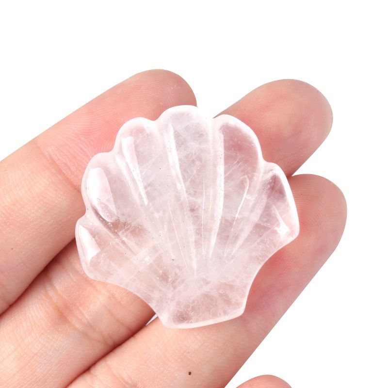 1723-30Mm concha grande não porosa, cristal natural ágata pedra vista mar micro-paisagem escultura concha ornamento DIY