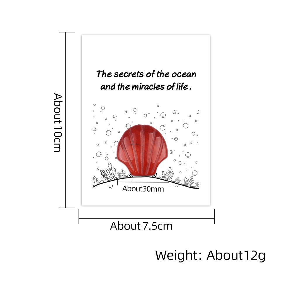 1806-Card Series 30mm Natural Crystal Agate Stone Shell Shape, Creative Fun Ocean Gem