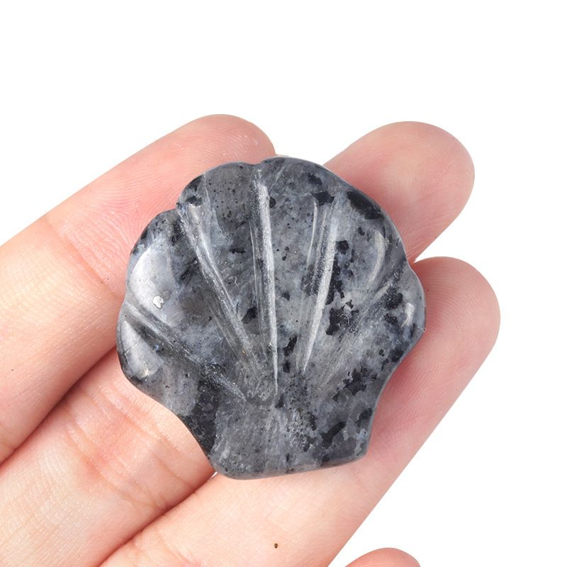 1723-30Mm concha grande não porosa, cristal natural ágata pedra vista mar micro-paisagem escultura concha ornamento DIY