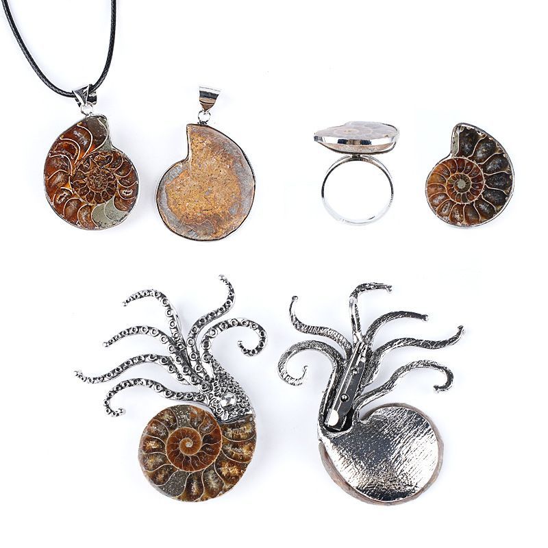Concha natural fóssil pingente criativo novo prata bainha manchado caracol crisântemo broche colar anel jóias