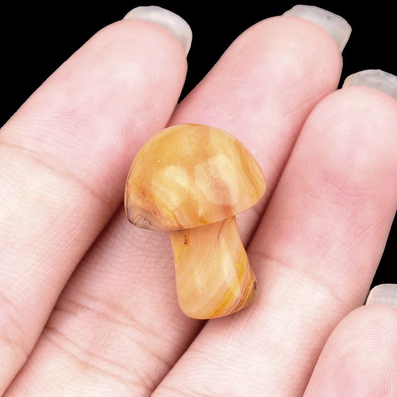 883-Amethyst agate stone mini 2cm pequeno cogumelo DIY micro paisagem Mori paisagismo jardim flor vaso decoração