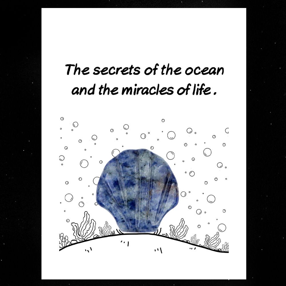 1806-Card Series 30mm Natural Crystal Agate Stone Shell Shape, Creative Fun Ocean Gem