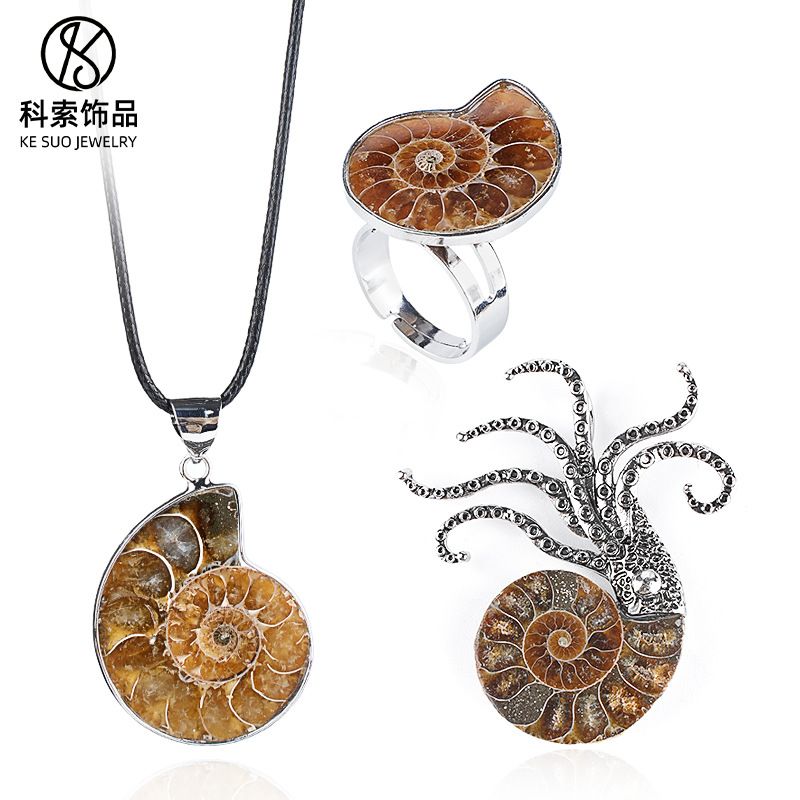 Concha natural fóssil pingente criativo novo prata bainha manchado caracol crisântemo broche colar anel jóias