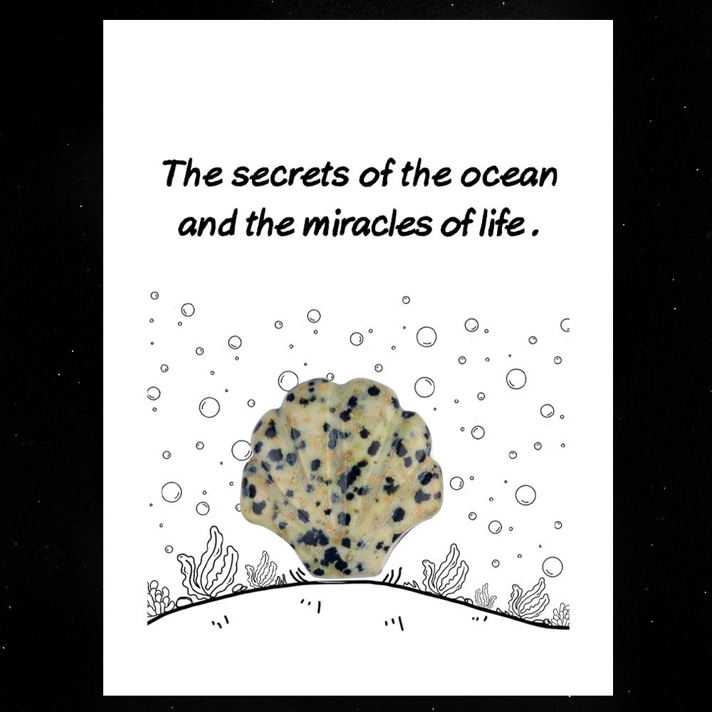 1806-Card Series 30mm Natural Crystal Agate Stone Shell Shape, Creative Fun Ocean Gem