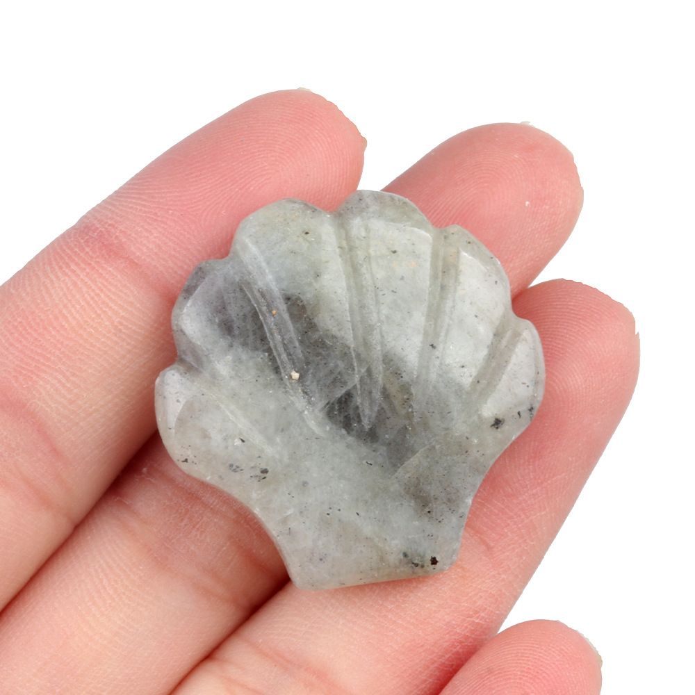 1723-30Mm concha grande não porosa, cristal natural ágata pedra vista mar micro-paisagem escultura concha ornamento DIY