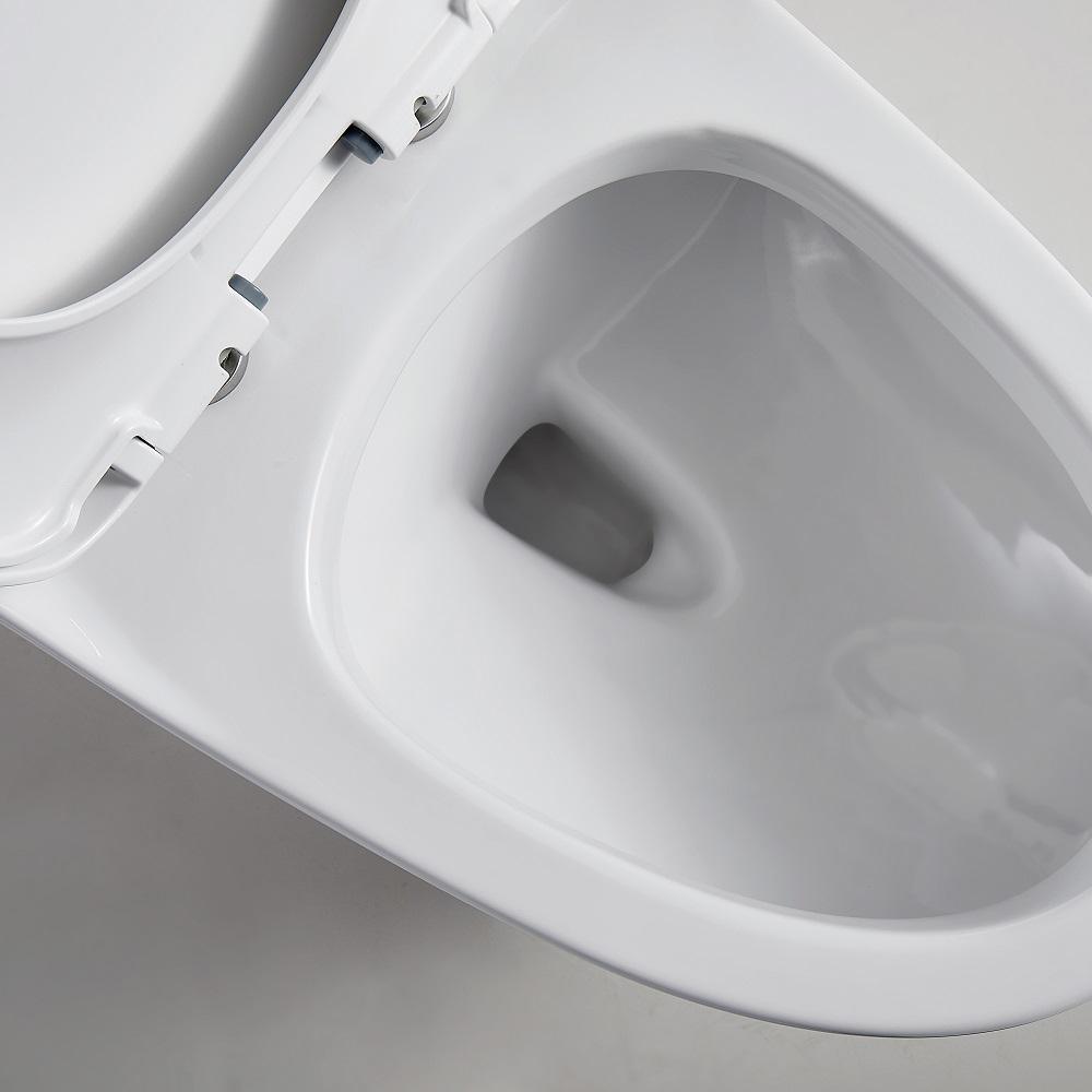 1-Piece 1.28 GPF Dual Flush High Efficiency Elongated Toilet in White, Seat Included